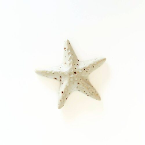Søstjerner 8x8 cm i keramik<br> Seashell</br>