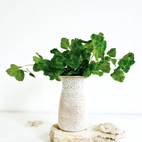 Keramik Vase<br> Reef no. 20</br>
