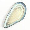 Blåmuslinge fad no. 35<br> Blåmusling</br> - Image 2